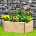 Hexagonal Elongated Wooden Raised Bed